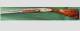Shotguns/Rifles