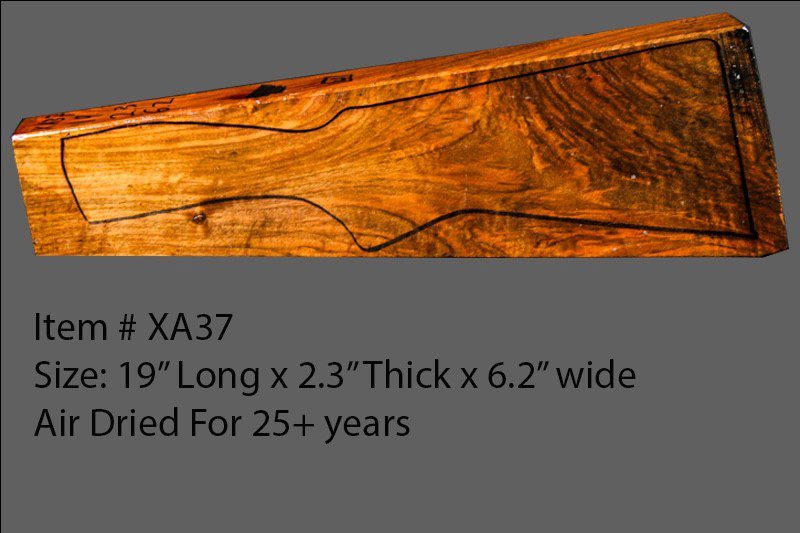 French Walnut Shotgun Blank (#XA37)
