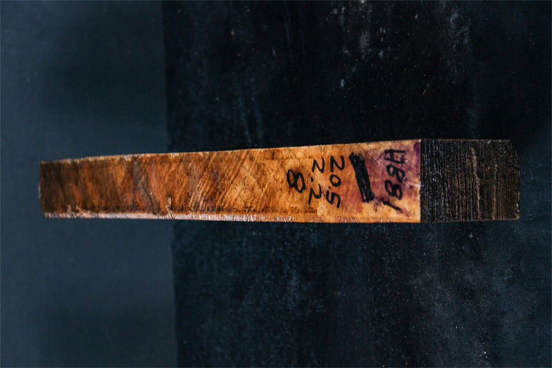 Turkish Walnut Shotgun Blank (#hb81)