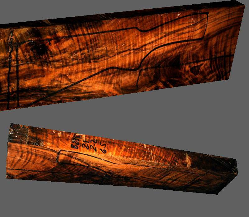 Exhibition Turkish Walnut Shotgun Blank (#B238)