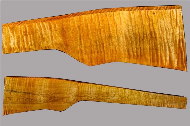 Sugar Maple Rifle Blank (#sm97)
