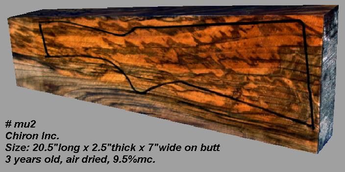 Turkish Walnut 2-Piece (#mu2)
