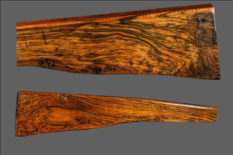 Turkish Walnut Rifle Blank (#XA12)