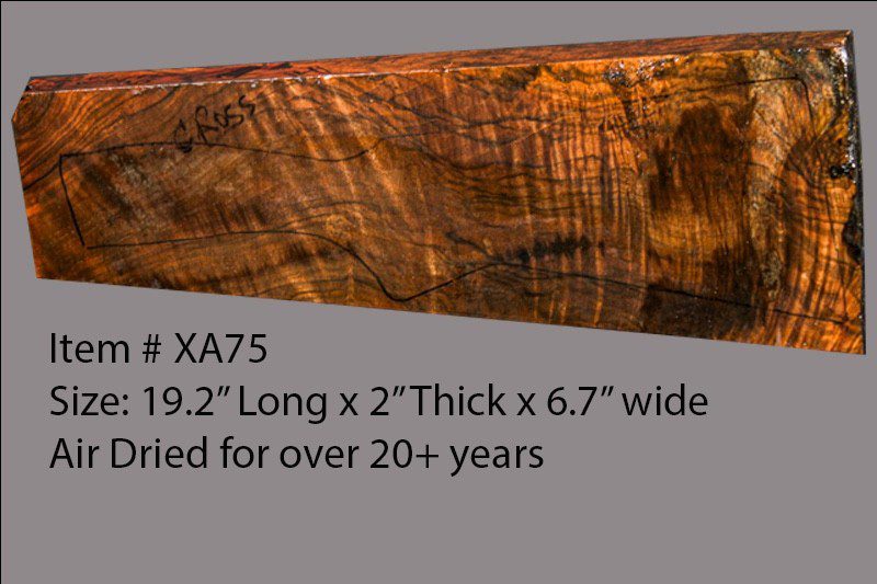 Turkish Walnut Shotgun Blank (#XA75)