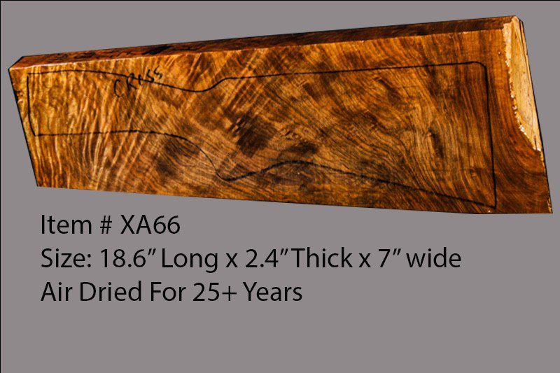 Turkish Walnut Shotgun Blank (#XA66)