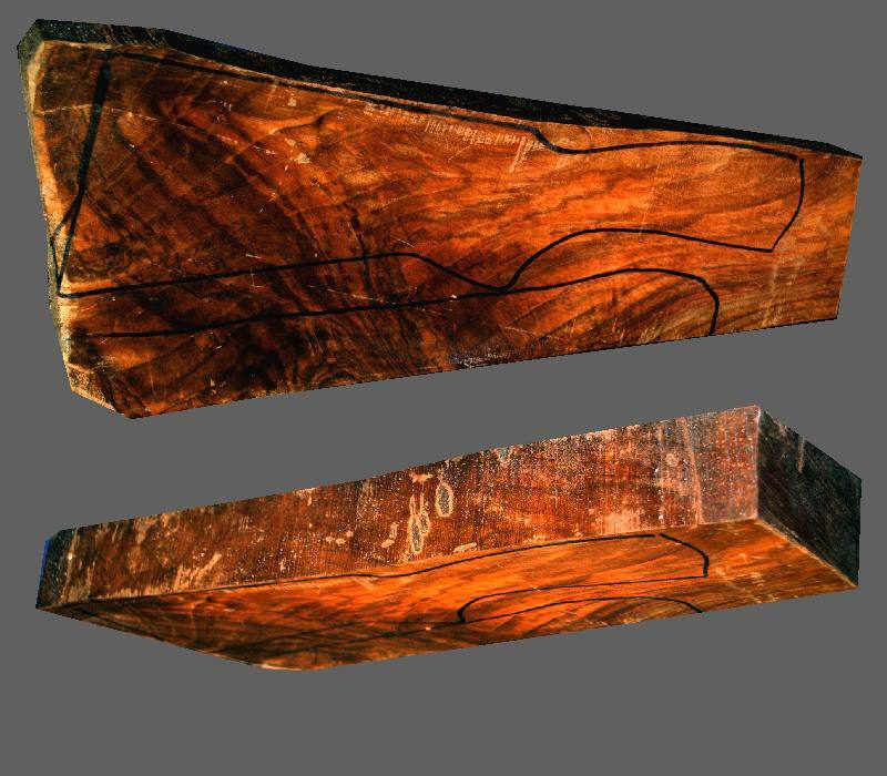 Turkish Walnut Shotgun Blank (#B152)