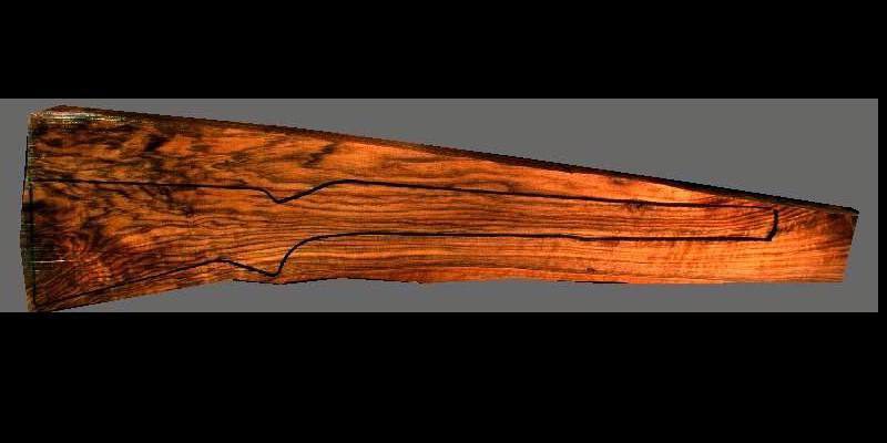 Turkish Walnut Rifle Blank (#MX64)