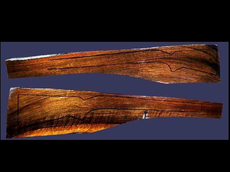 Turkish Walnut Rifle Blank (#x411)